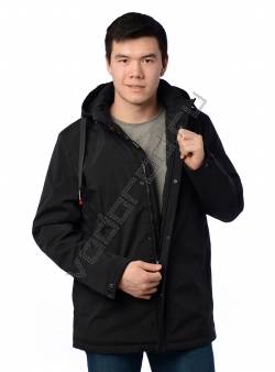 Куртка мужская Черный 205