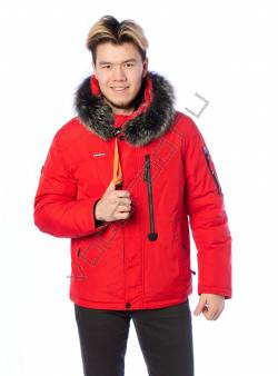 Зимняя куртка мужская Красный 591