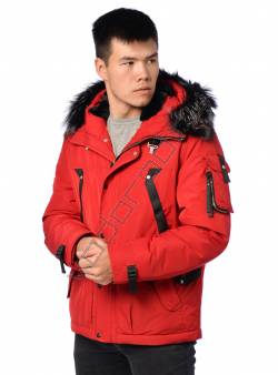 Зимняя куртка мужская Красный 4