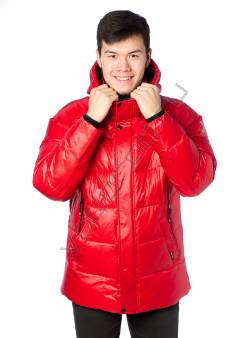 Зимняя куртка мужская Красный 109