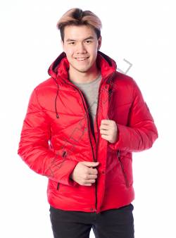 Зимняя куртка мужская Красный 5