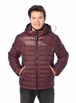 Зимняя куртка мужская Баклажан 32