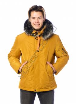 Зимняя куртка мужская Желтый 27