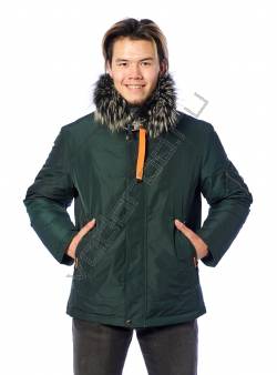 Зимняя куртка мужская Зеленый 31